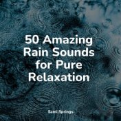 50 Amazing Rain and Nature Sounds