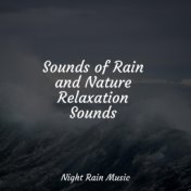 Sounds of Rain and Nature Relaxation Sounds