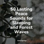 50 Lasting Peace Sounds for Sleeping and Forest Waves