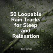 50 Loopable Rain Tracks for Sleep and Relaxation