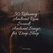 50 Relaxing Ambient Rain Sounds - Ambient Songs for Deep Sleep