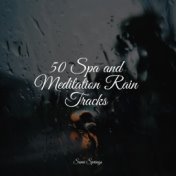 50 Spa and Meditation Rain Tracks