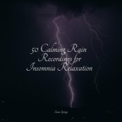 50 Calming Rain Recordings for Insomnia Relaxation