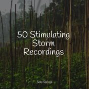 50 Stimulating Storm Recordings