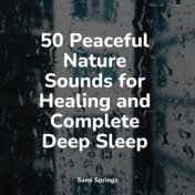 50 Peaceful Nature Sounds for Healing and Complete Deep Sleep