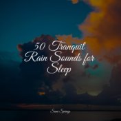 50 Tranquil Rain Sounds for Sleep