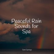 Peaceful Rain Sounds for Spa