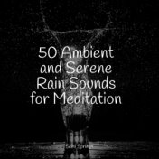 50 Ambient and Serene Rain Sounds for Meditation