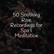 50 Soothing Rain Recordings for Spa & Meditation