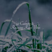 50 Calming & Relaxing Rain Vibes