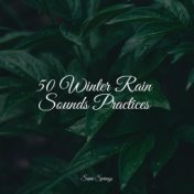 50 Loopable Rain Sounds for Sleep and Relaxation