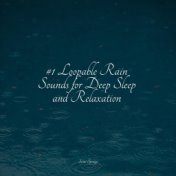 #1 Loopable Rain Sounds for Deep Sleep and Relaxation