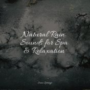 Natural Rain Sounds for Spa & Relaxation