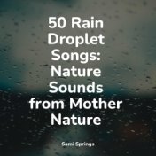 50 Rain Droplet Songs: Nature Sounds from Mother Nature