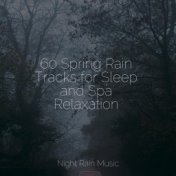 60 Spring Rain Tracks for Sleep and Spa Relaxation