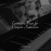 Essential Music for Complete Relaxation