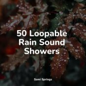 50 Loopable Rain Sound Showers