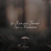 50 Rain and Thunder Spa, Meditation