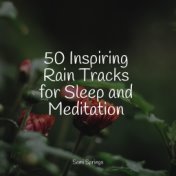 50 Inspiring Rain Tracks for Sleep and Meditation