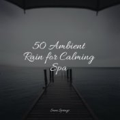 50 Ambient Rain for Calming Spa