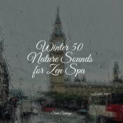 Winter 50 Nature Sounds for Zen Spa