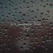 50 Concentration Water Songs