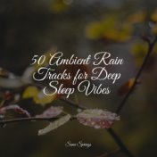 50 Ambient Rain Tracks for Deep Sleep Vibes
