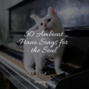 50 Ambient Piano Songs for the Soul