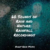 60 Sounds of Rain and Nature: Rainfall Recordings