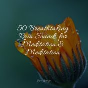 50 Breathtaking Rain Sounds for Meditation & Meditation