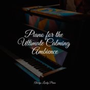 Piano for the Ultimate Calming Ambience