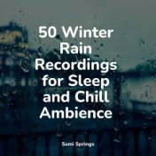50 Winter Rain Recordings for Sleep and Chill Ambience