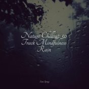 Nature Chillout: 50 Track Mindfulness Rain