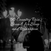 50 Country Rain Sounds for Sleep and Relaxation