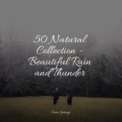 50 Natural Collection - Beautiful Rain and Thunder
