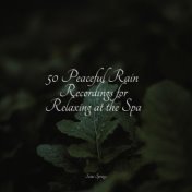 50 Peaceful Rain Recordings for Relaxing at the Spa