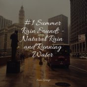 #1 Summer Rain Sounds - Natural Rain and Running Water