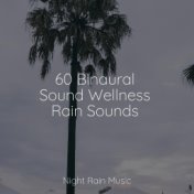 60 Binaural Sound Wellness Rain Sounds