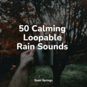 50 Calming Loopable Rain Sounds