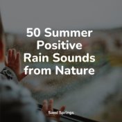 50 Summer Positive Rain Sounds from Nature