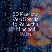 50 Peaceful Rain Sounds to Relax the Mind and Relax