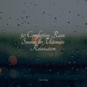 50 Comforting Rain Sounds for Ultimate Relaxation