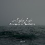 50 Perfect Rain Sounds for Meditation
