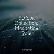 50 Spa Collection: Meditation Rain