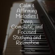 Calm & Affirming Melodies | Deep, Complete, and Focused Studying and Relaxation