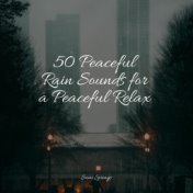 50 Peaceful Rain Sounds for a Peaceful Relax