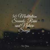 50 Meditation Sounds: Rain and Nature Songs