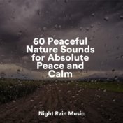 60 Peaceful Nature Sounds for Absolute Peace and Calm