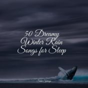 50 Dreamy Winter Rain Songs for Sleep
