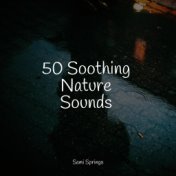 50 Soothing Nature Sounds